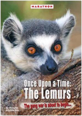 Once Upon a Time: The Lemurs (Marathon Intl)